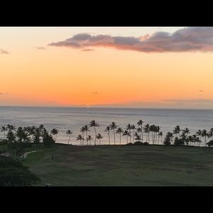 Meet your Posher, Mikd